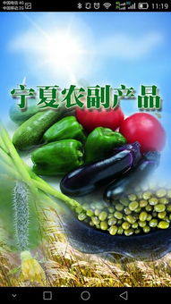 寧夏農副產品“下載”指南 特色、渠道與品牌數字化之路